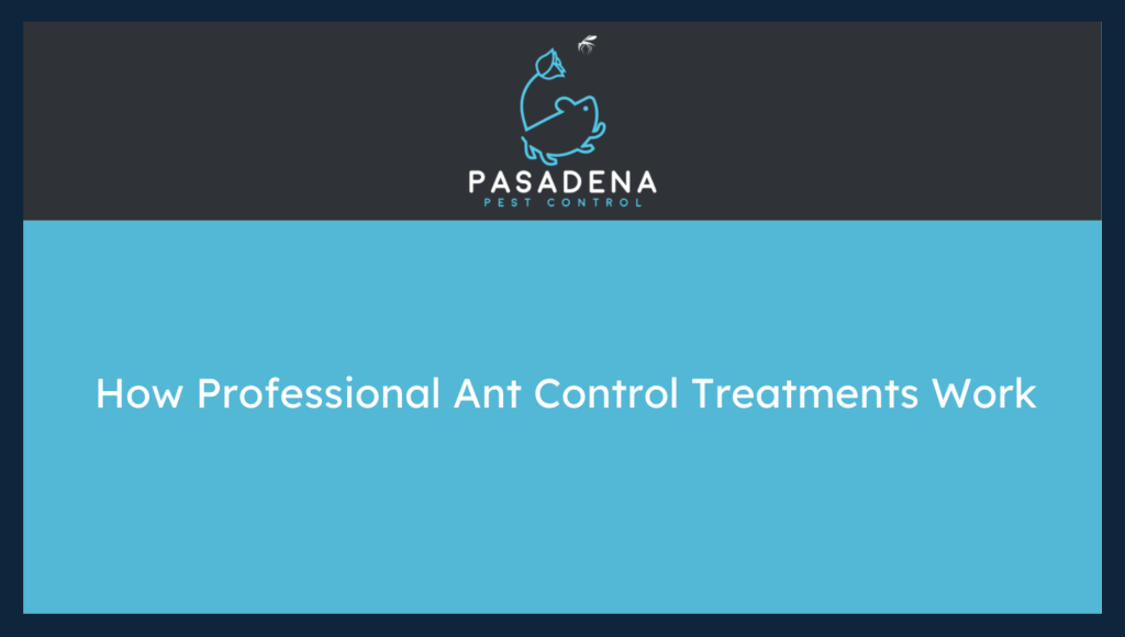 How Professional Ant Control Treatments Work