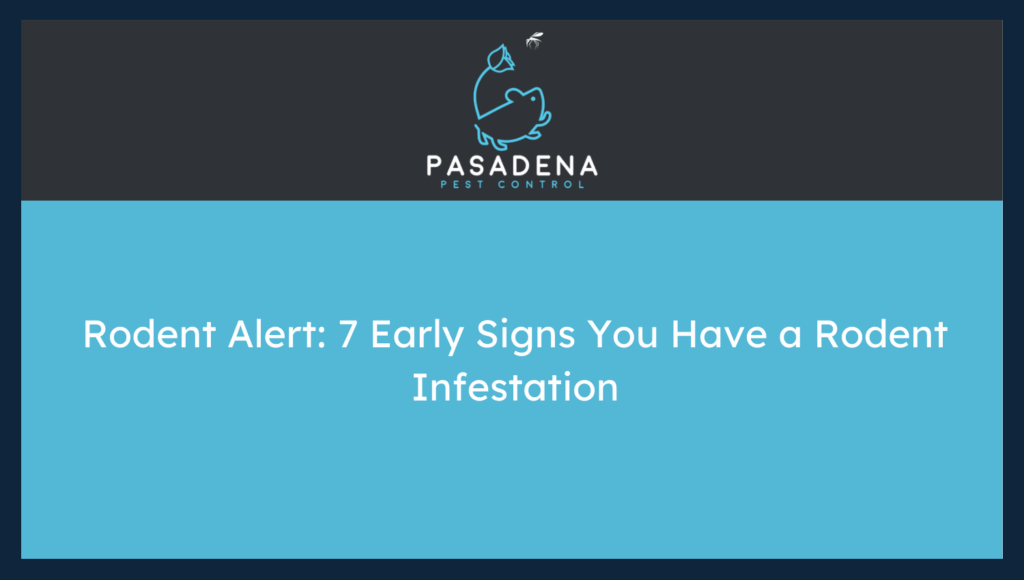 Rodent Alert: 7 Early Signs You Have a Rodent Infestation