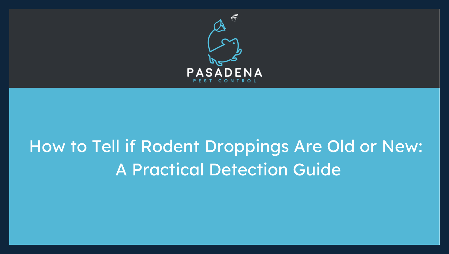 How to Tell if Rodent Droppings Are Old or New: A Practical Detection Guide