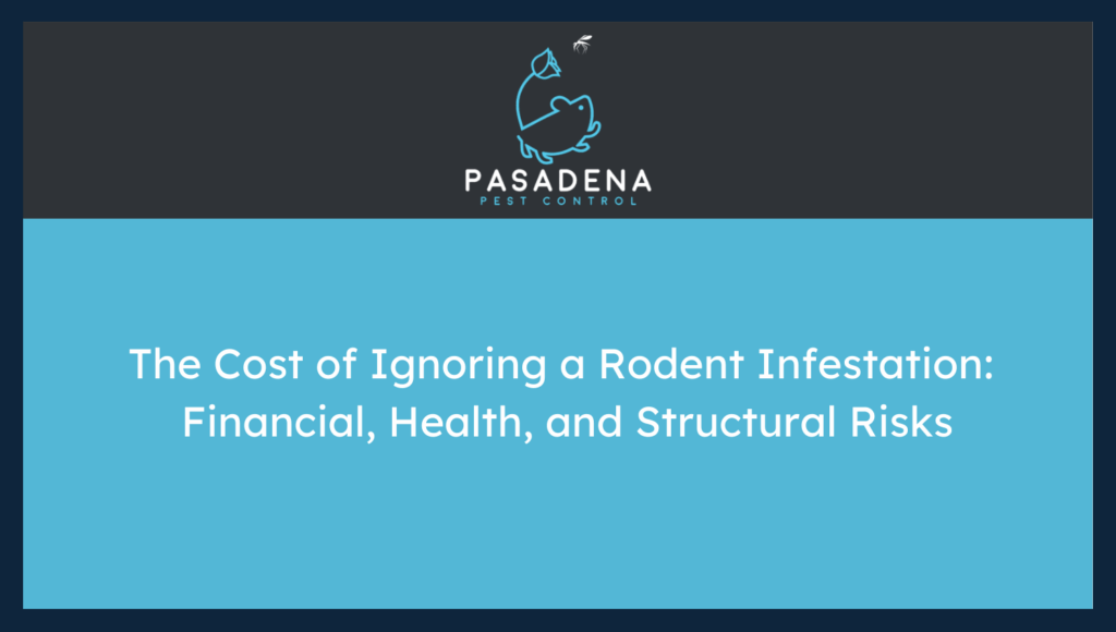 The Cost of Ignoring a Rodent Infestation: Financial, Health, and Structural Risks