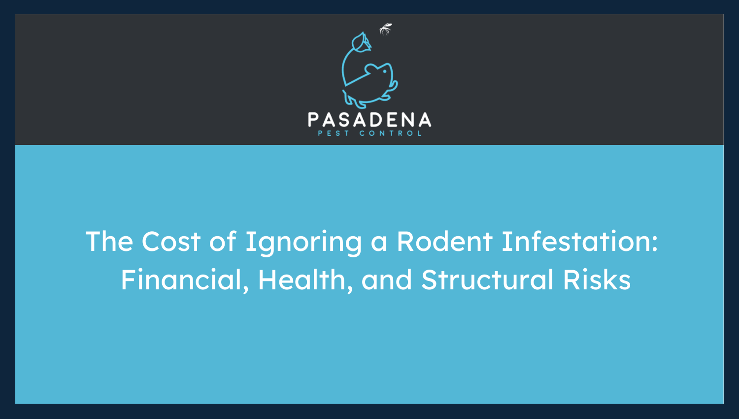 The Cost of Ignoring a Rodent Infestation: Financial, Health, and Structural Risks