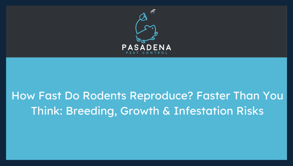 How Fast Do Rodents Reproduce? Faster Than You Think: Breeding, Growth & Infestation Risks