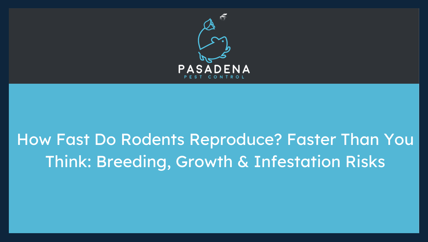 How Fast Do Rodents Reproduce? Faster Than You Think: Breeding, Growth & Infestation Risks
