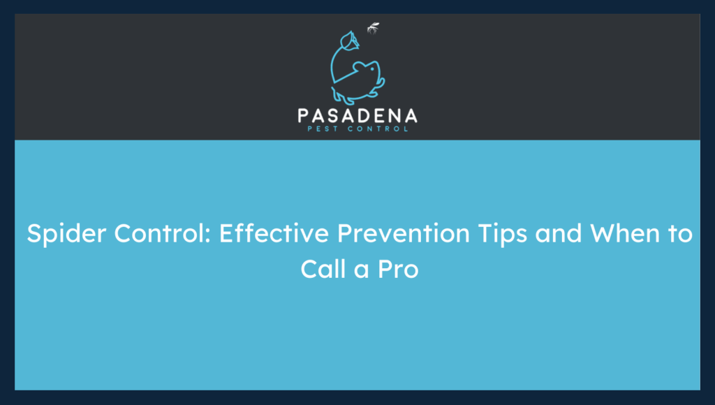 Spider Control: Effective Prevention Tips and When to Call a Pro