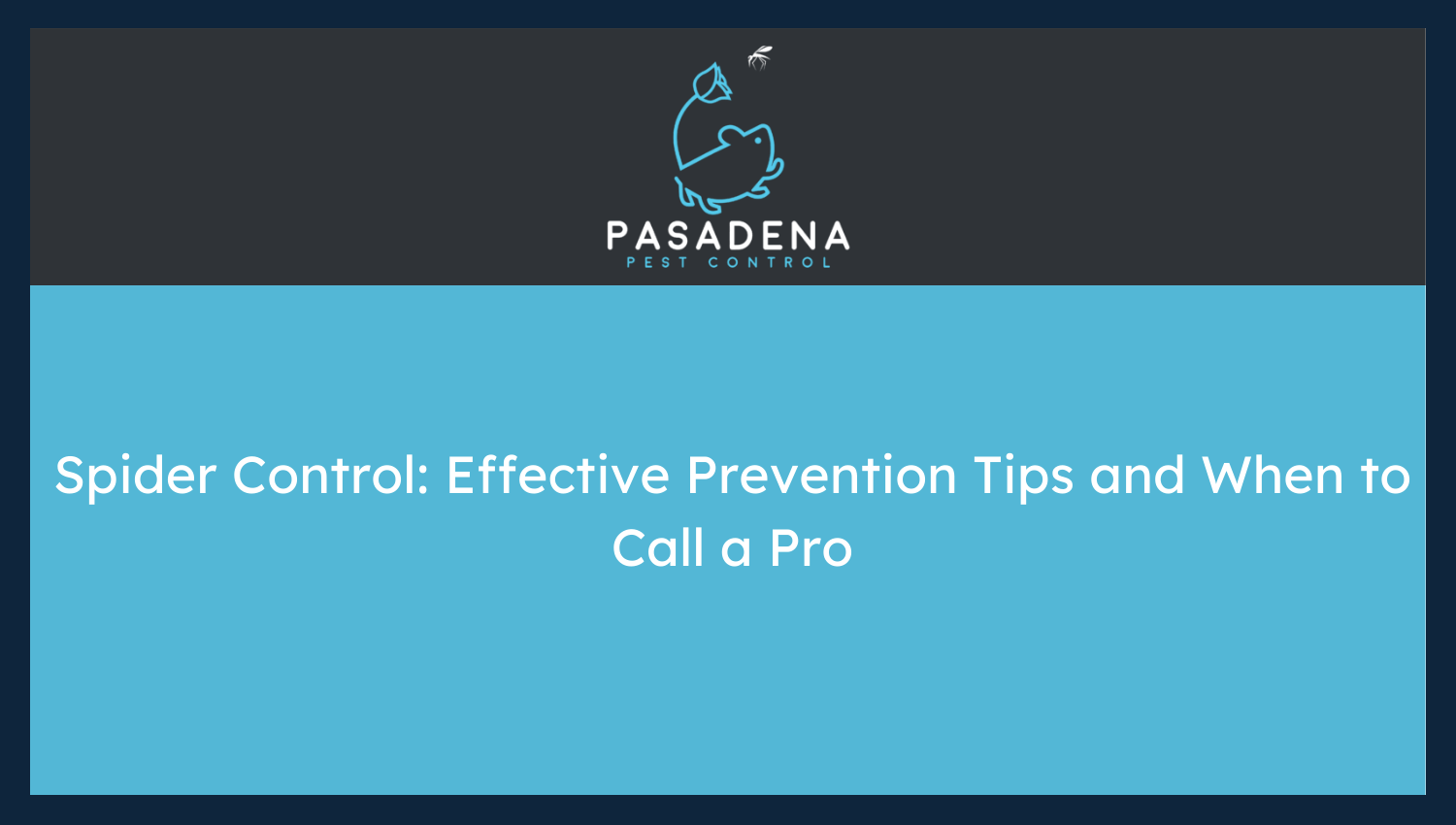 Spider Control: Effective Prevention Tips and When to Call a Pro
