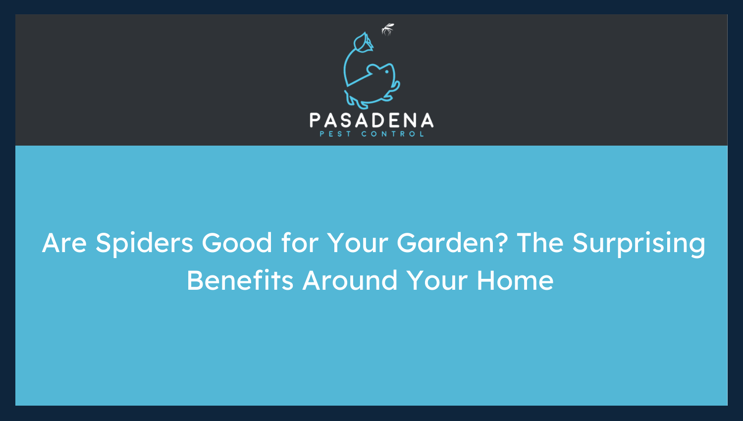 Are Spiders Good for Your Garden? The Surprising Benefits Around Your Home