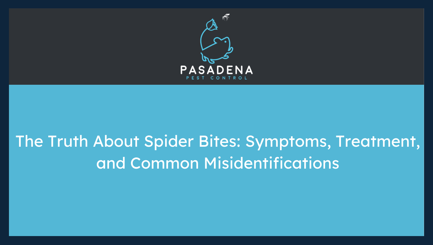 The Truth About Spider Bites: Symptoms, Treatment, and Common Misidentifications