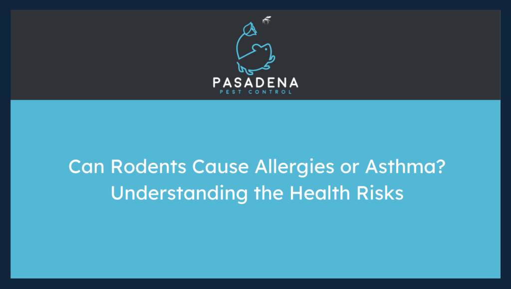 Can Rodents Cause Allergies or Asthma? Understanding the Health Risks