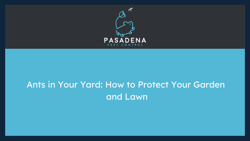 Ants in Your Yard: How to Protect Your Garden and Lawn