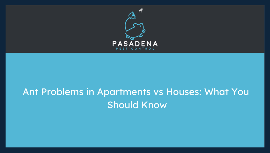 Ant Problems in Apartments vs Houses: What You Should Know