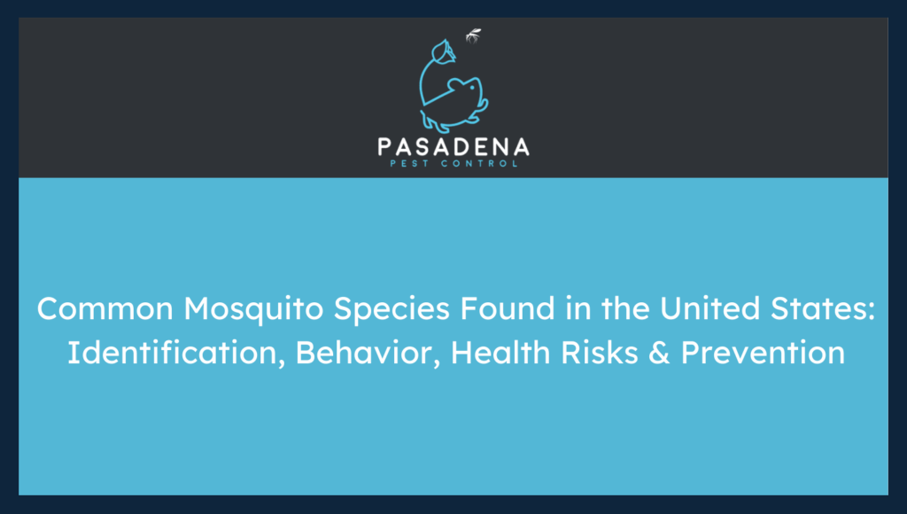 Common Mosquito Species Found in the United States: Identification, Behavior, Health Risks & Prevention