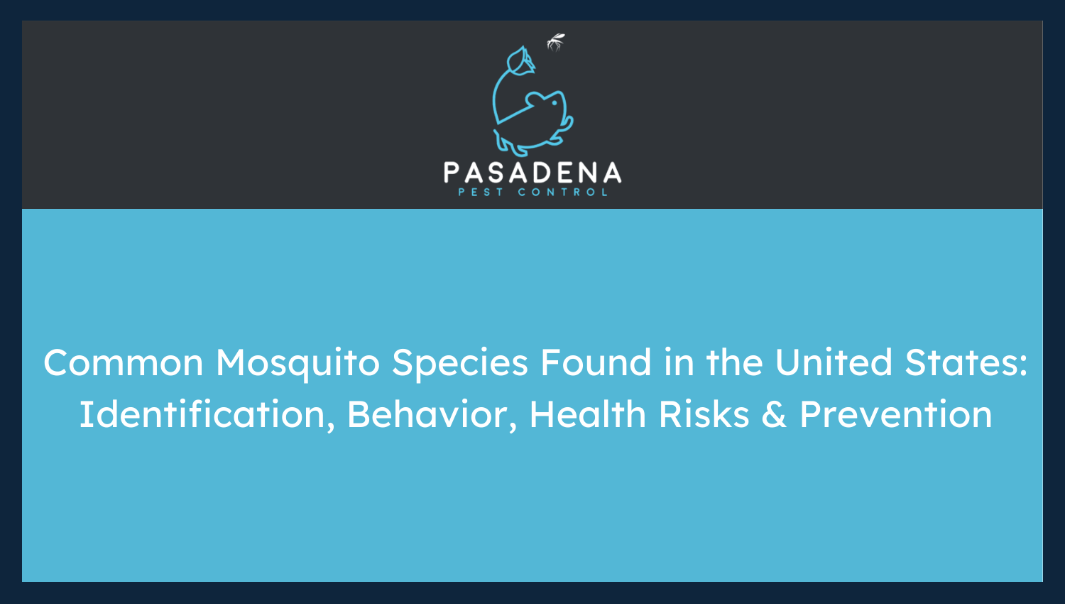 Common Mosquito Species Found in the United States: Identification, Behavior, Health Risks & Prevention