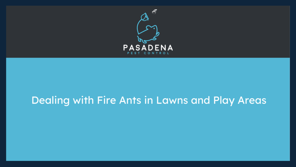 How to Deal with Fire Ants in Lawns and Play Areas