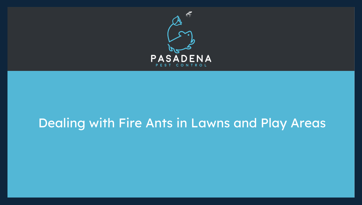 How to Deal with Fire Ants in Lawns and Play Areas