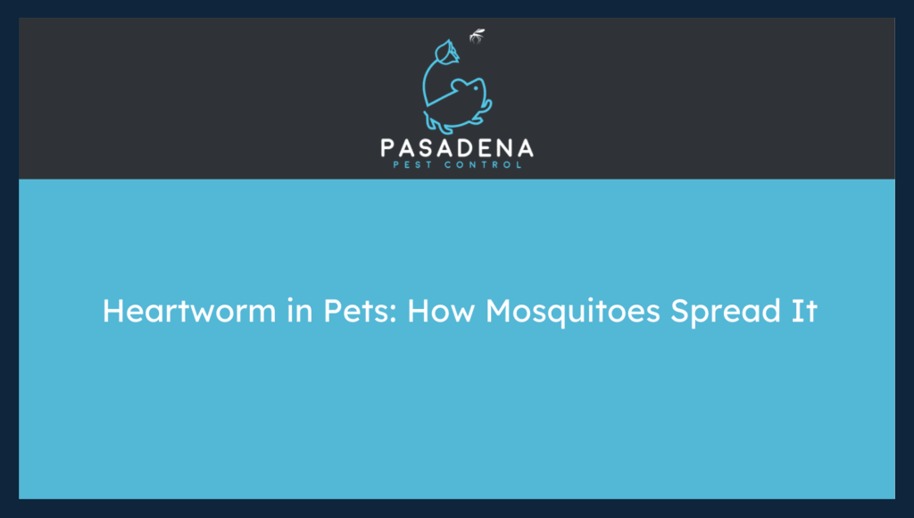 Heartworm in Pets: How Mosquitoes Spread It