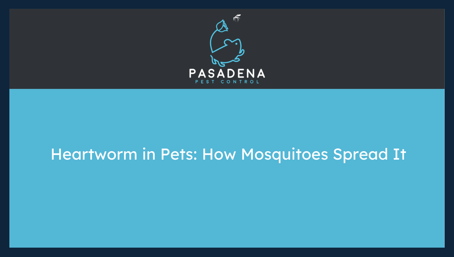 Heartworm in Pets: How Mosquitoes Spread It