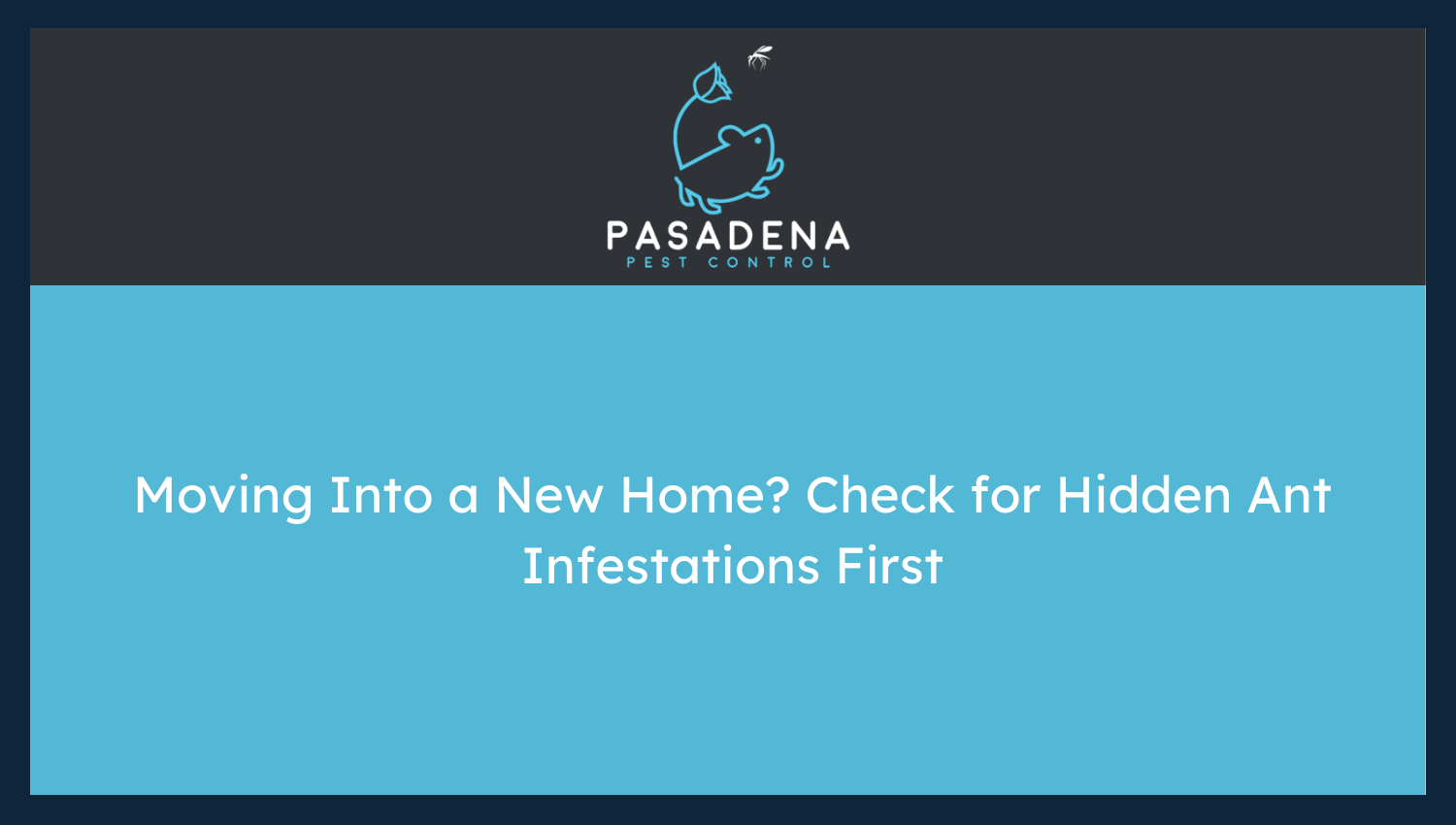 How to Check for Hidden Ant Infestations First Before Moving to a New House