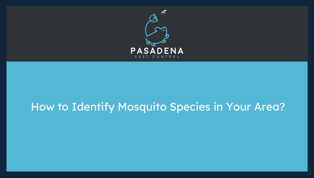 How to Identify Mosquito Species in Your Area?