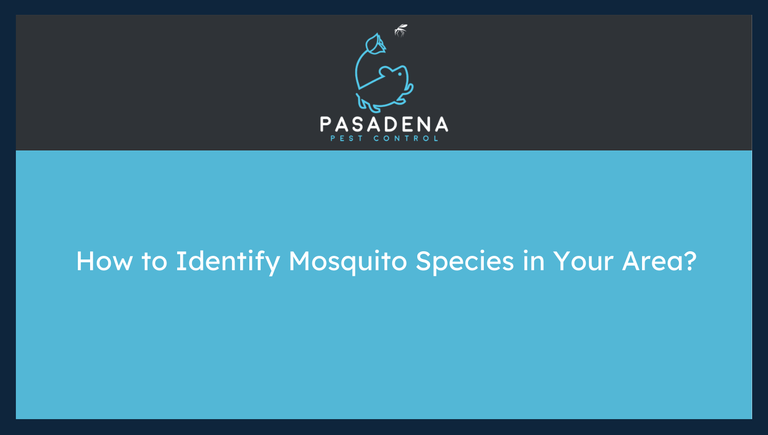 How to Identify Mosquito Species in Your Area?