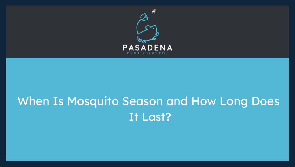 When Is Mosquito Season and How Long Does It Last?