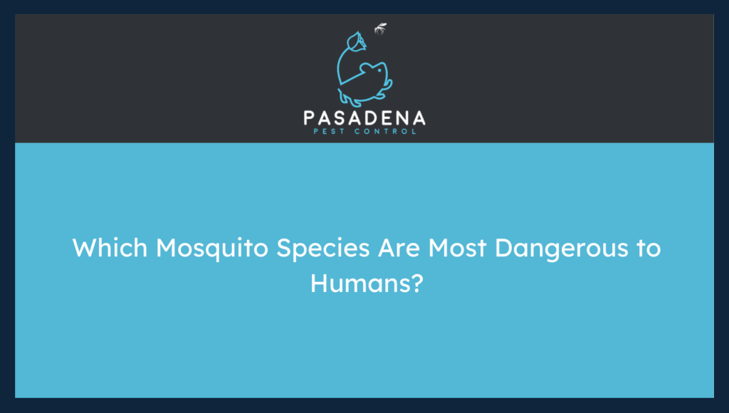 Which Mosquito Species Are Most Dangerous to Humans?