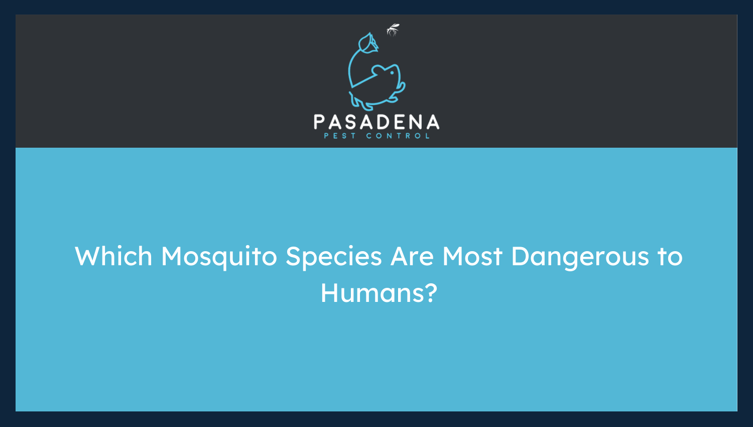 Which Mosquito Species Are Most Dangerous to Humans?
