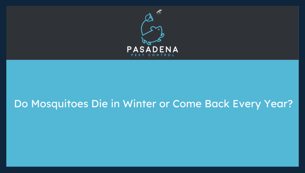 Do Mosquitoes Die in Winter or Come Back Every Year?