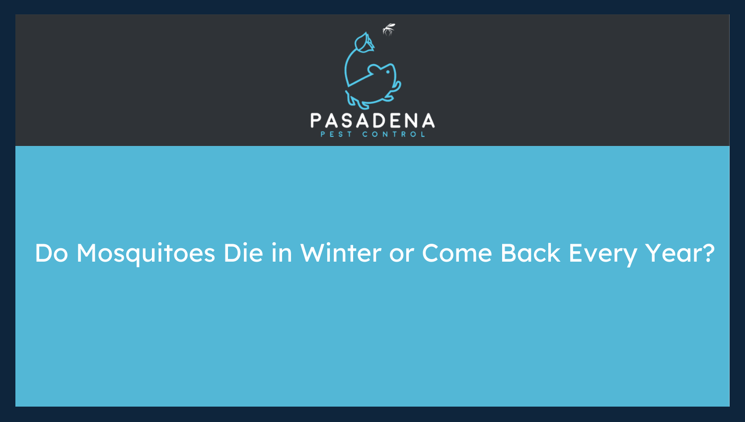 Do Mosquitoes Die in Winter or Come Back Every Year?