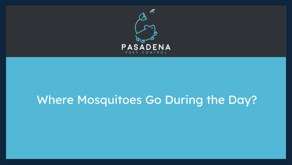Where Mosquitoes Go During the Day?
