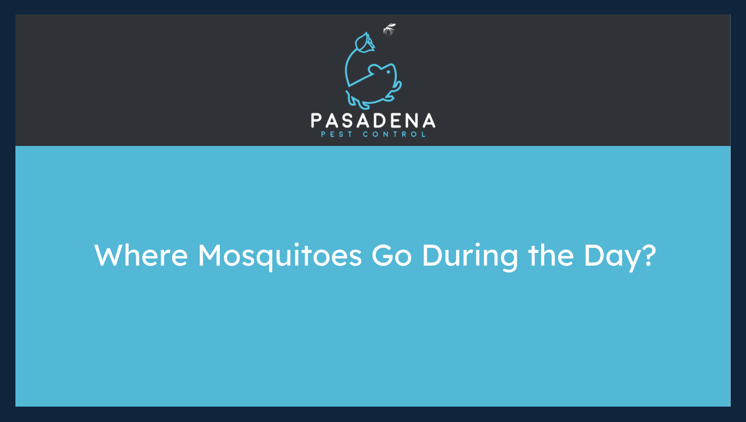 Where Mosquitoes Go During the Day?