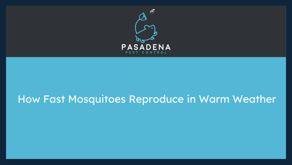 How Fast Mosquitoes Reproduce in Warm Weather