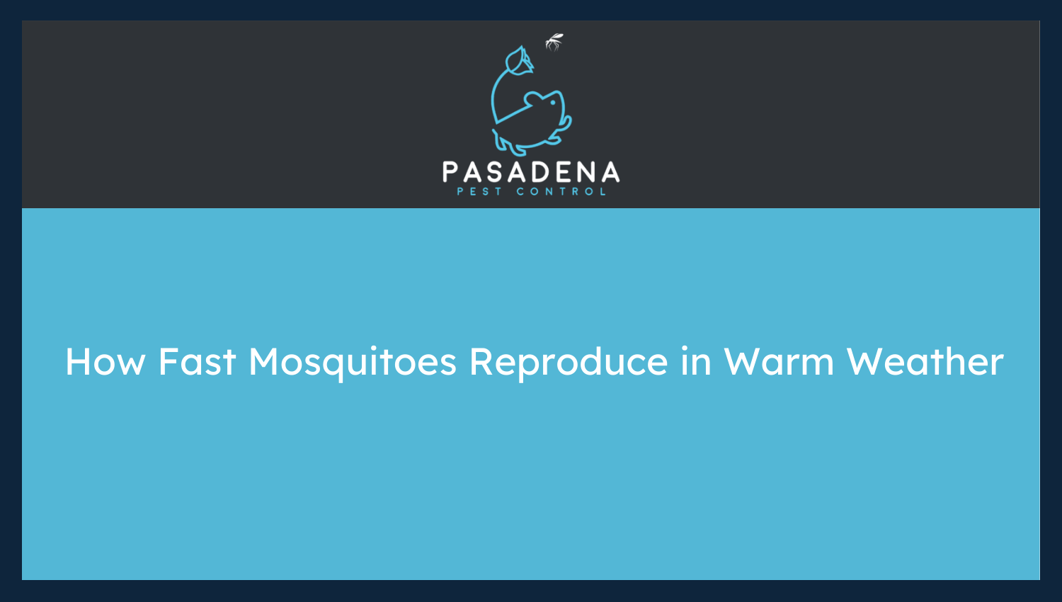 How Fast Mosquitoes Reproduce in Warm Weather