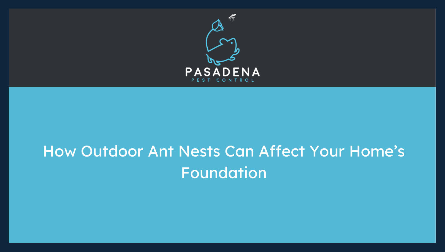 How Outdoor Ant Nests Can Affect Your Home’s Foundation