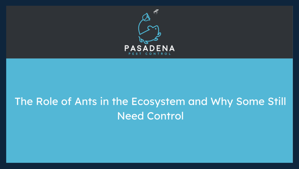 The Role of Ants in the Ecosystem and Why Some Still Need Control