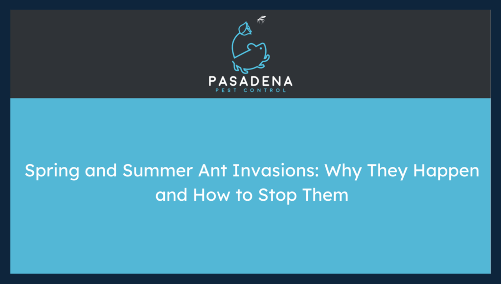 Spring and Summer Ant Invasions: Why They Happen and How to Stop Them