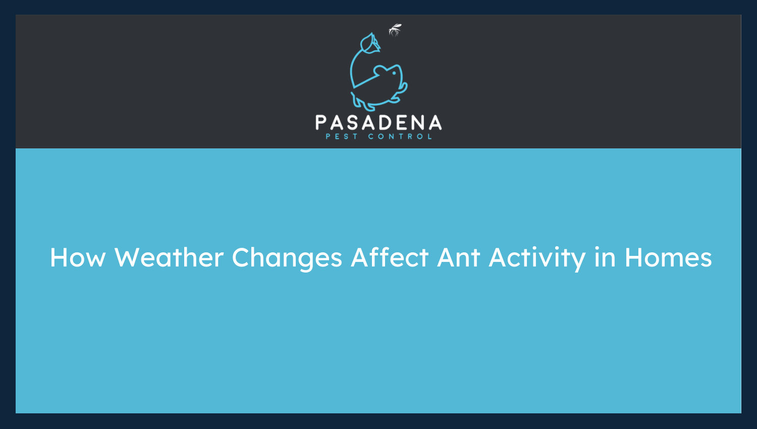 How Weather Changes Affect Ant Activity in Homes
