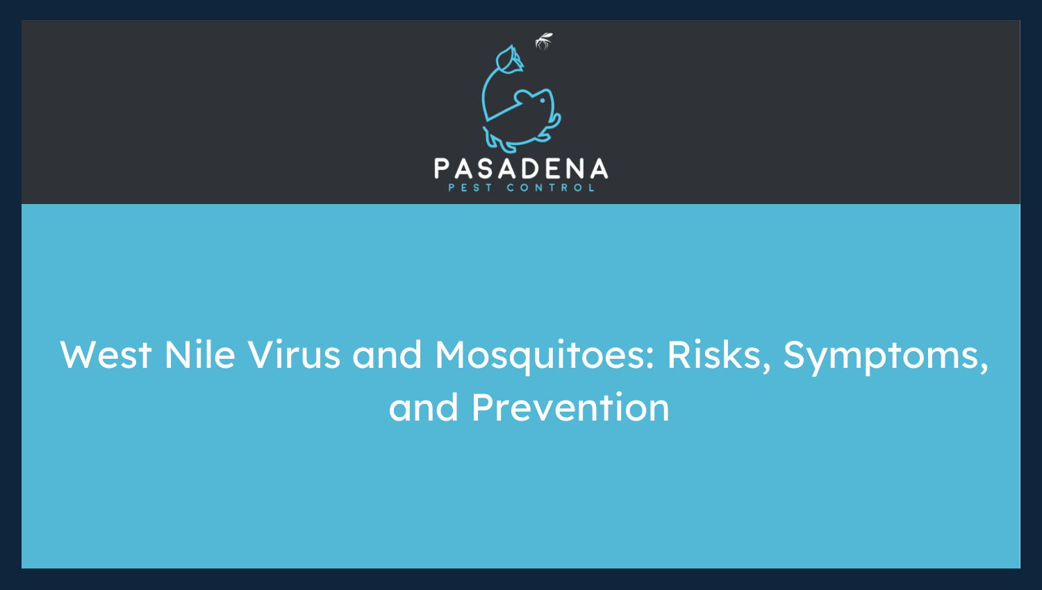 West Nile Virus and Mosquitoes: Risks, Symptoms, and Prevention
