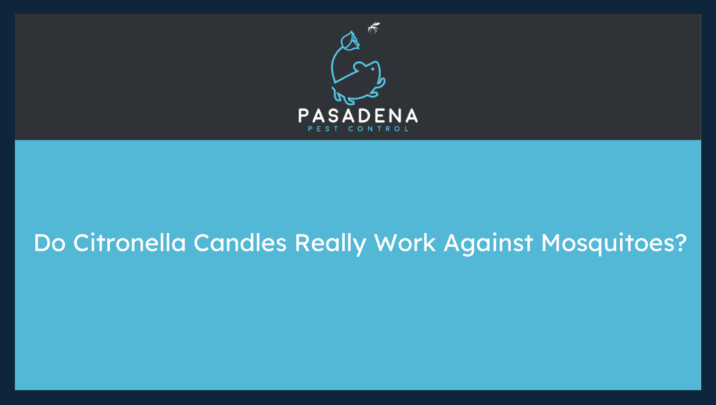 Do Citronella Candles Really Work Against Mosquitoes?