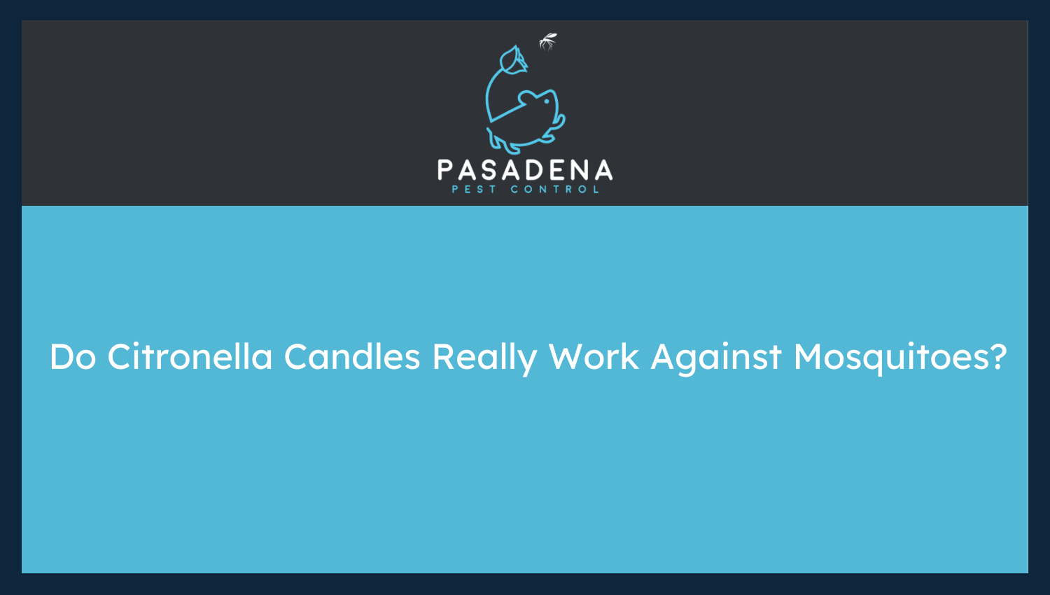 Do Citronella Candles Really Work Against Mosquitoes?
