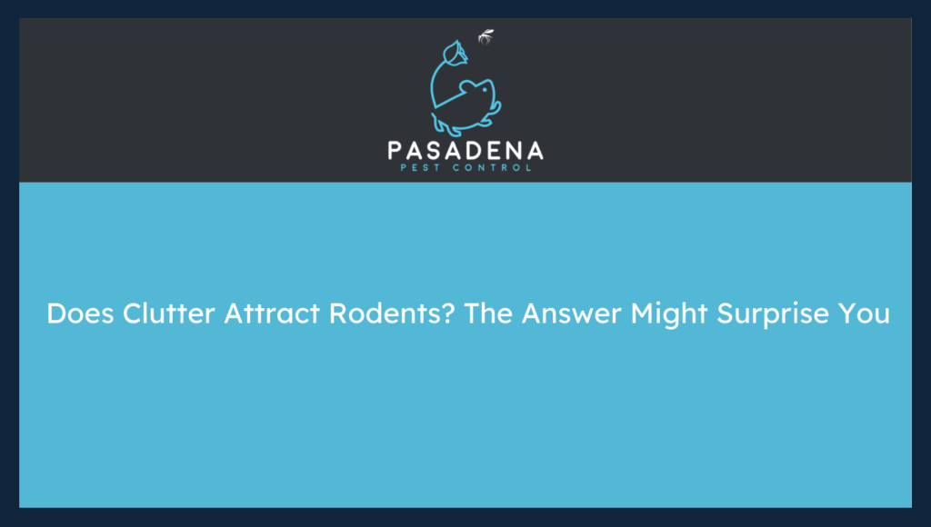 Does Clutter Attract Rodents? The Answer Might Surprise You