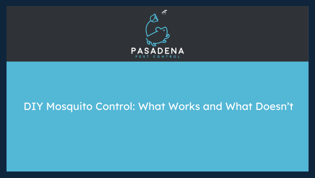 DIY Mosquito Control: What Works and What Doesn’t