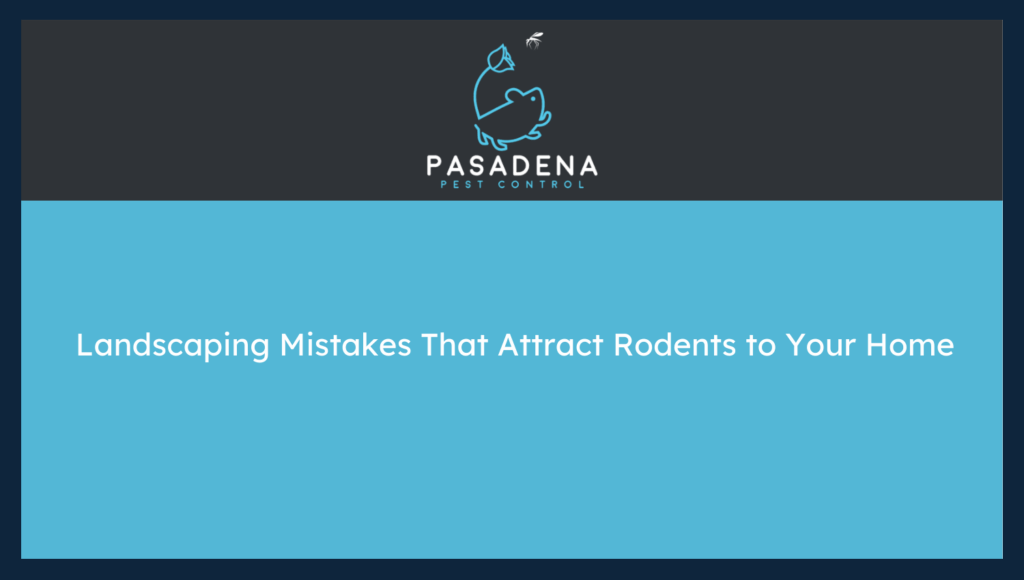 Landscaping Mistakes That Attract Rodents to Your Home