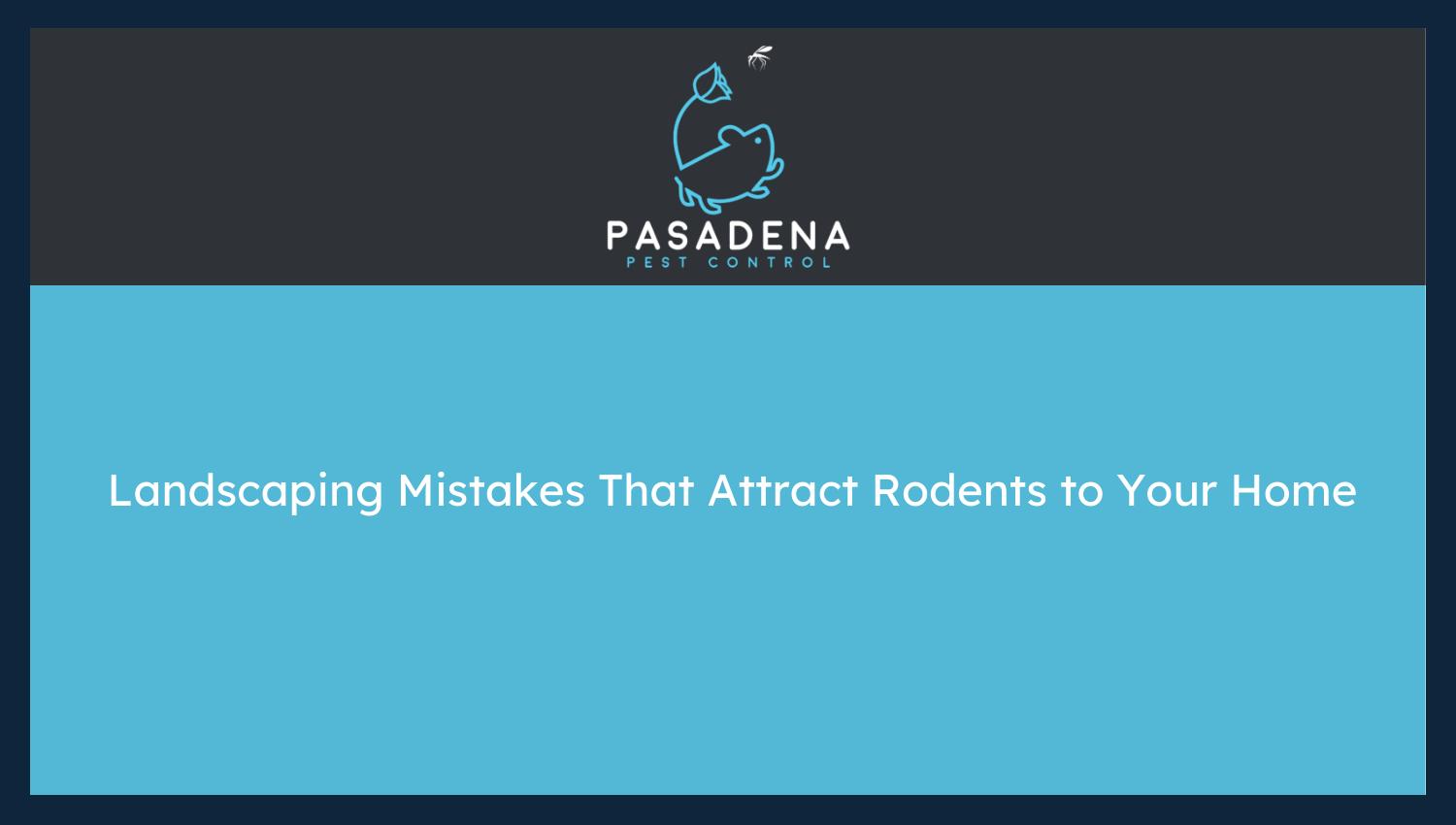 Landscaping Mistakes That Attract Rodents to Your Home