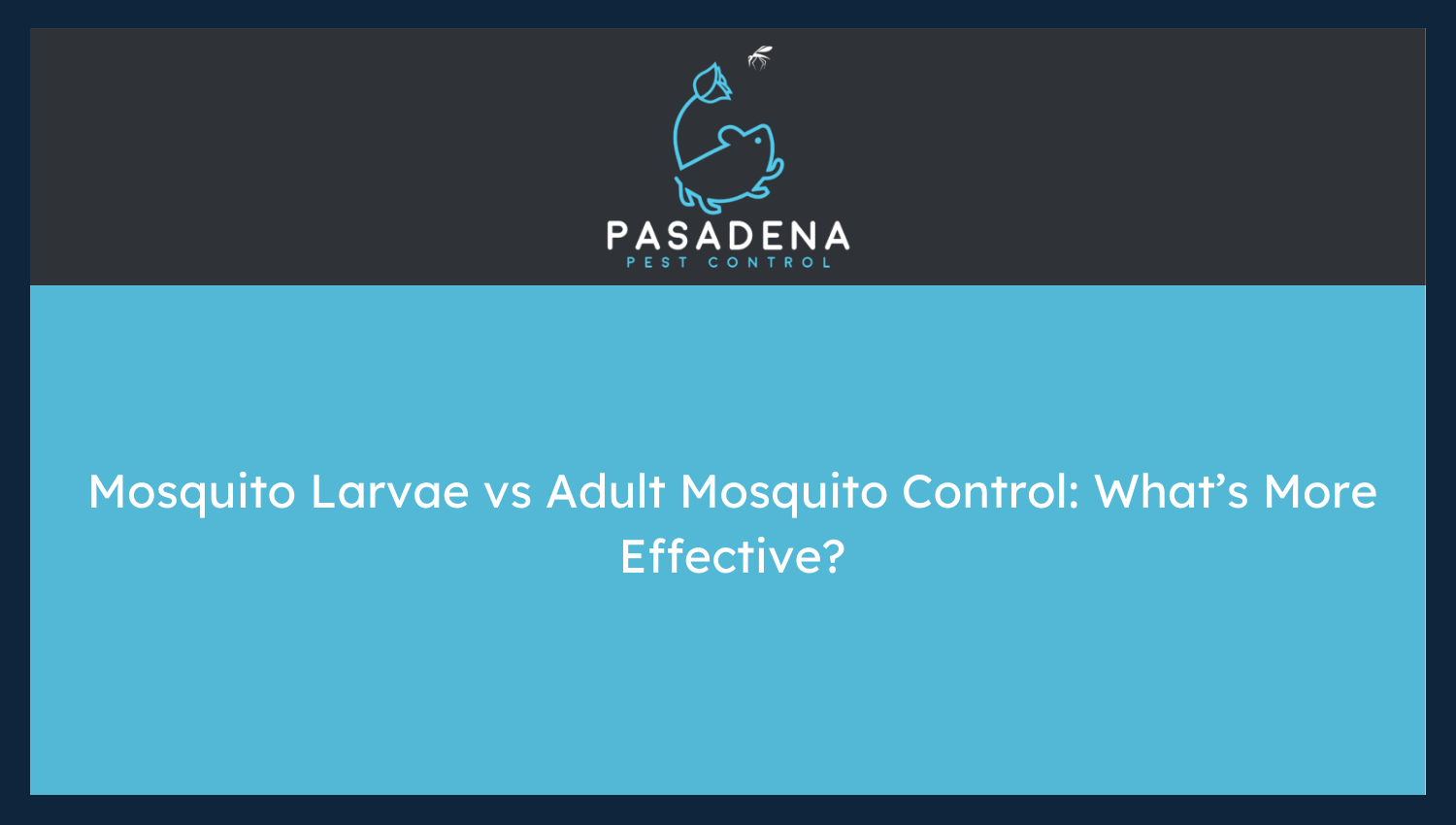 Mosquito Larvae vs Adult Mosquito Control: What’s More Effective?