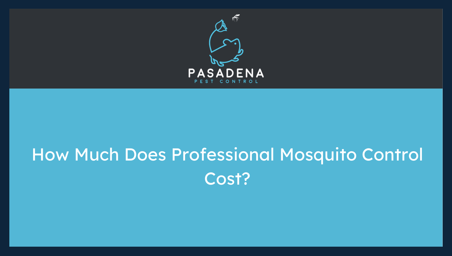 How Much Does Professional Mosquito Control Cost?
