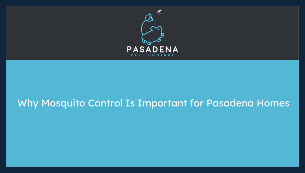 Why Mosquito Control Is Important for Pasadena Homes