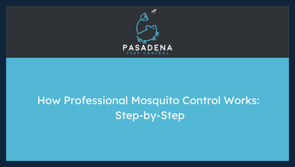 How Professional Mosquito Control Works: Step-by-Step