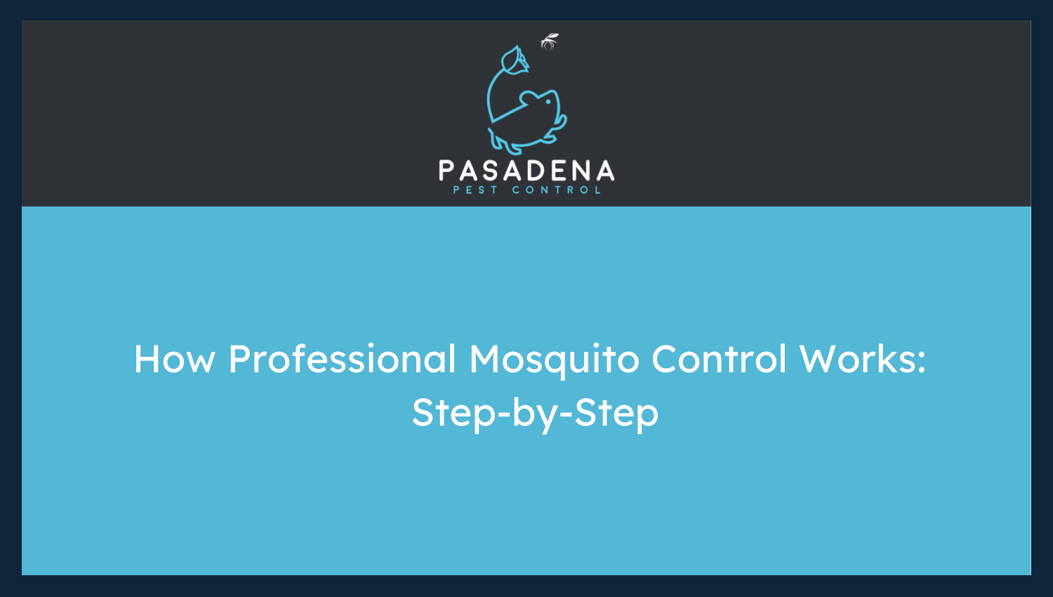 How Professional Mosquito Control Works: Step-by-Step