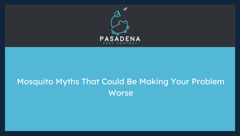 Mosquito Myths That Could Be Making Your Problem Worse