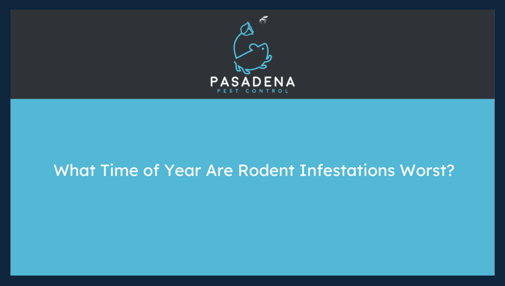 What Time of Year Are Rodent Infestations Worst?